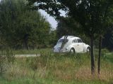 mini020